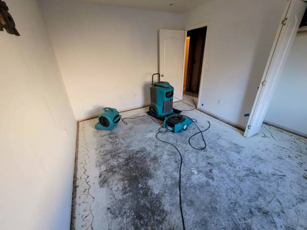 Best Sewage cleanup and water damage restoration  in Belmont, VA